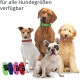 Vier Hunde verschiedener Rassen tragen bunte Halsbänder, mit einem Textüberlagerung, die besagt "für alle Hundgrößen verfügbar".