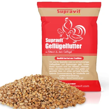 Nahaufnahme eines Haufens goldener Weizenkörner, geeignet als Tierfutter oder Futter.