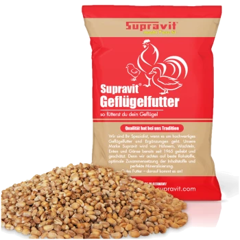 Nahaufnahme eines Haufens goldener Weizenkörner, geeignet als Tierfutter oder Futter.