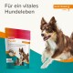 Beaphar Flexifit Sticks für Hunde, mit einem springenden Hund und dem Text 'Für ein vitales Hundeleben' und 'MAINTENANCE LEVEL 1'.
