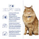 Eine flauschige orangefarbene Katze mit grünen Augen und einem blauen Halsband steht neben einem Text über die Vorteile von Katzenfutter wie Nierenunterstützung und Appetitanregung.