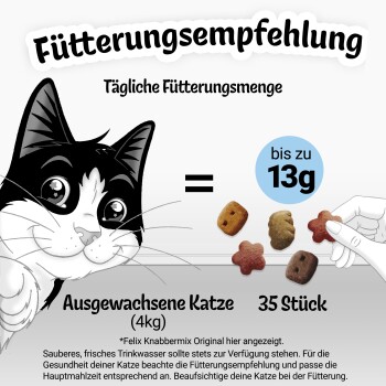 Ilustracja czarno-białego kota z tekstem szczegółowo opisującym zalecenia dotyczące karmienia dorosłych kotów (4 kg), sugerując 35 kawałków lub do 13 g dziennie.