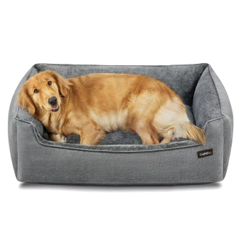 Golden Retriever liegt in einem grauen Feandrea Haustierbett mit erhöhten Seiten auf weißem Hintergrund.