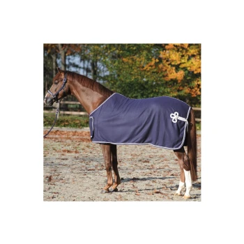 Ein braunes Pferd trägt eine marineblaue Decke mit weißem Rand und steht in einem sandigen Bereich, umgeben von Bäumen mit herbstlichem Laub.