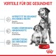 Bild eines erwachsenen Hundes und eines Welpen mit Text über die Vorteile von Royal Canin Hundefutter: unterstützt die Gesundheit, starke Abwehrkräfte und Mikrobiom.