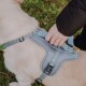 Eine Person passt ein hellgraues Hundegeschirr an einem Golden Retriever an, mit einem gemusterten Riemen und einem goldenen Clip, vor grünem Gras.