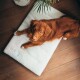 Hundematte SHERPA Crate Mat beige XL