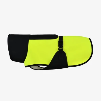 Helle gelbe Hunderegenjacke mit schwarzen Akzenten und einem Schnallenriemen, entworfen für Sichtbarkeit und Schutz vor den Elementen.