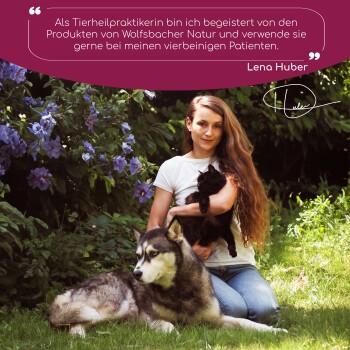 Bild von Wolfsbacher Natur Tiergesundheitsprodukten, die Öle, Snacks und Pflegeartikel mit Bio-Zutatenetiketten zeigen.