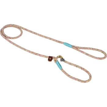 Bunte geflochtene Hundeleine mit hellblauen Akzenten und einem Lederanhänger, mit einem goldenen Clip zum Sichern an einem Halsband.