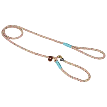 Colorful braided dog leash with light blue accents and a leather attachment, featuring a gold clip for securing to a collar.