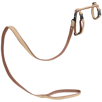 Ensemble harnais et laisse pour animaux de compagnie de couleur marron, avec des sangles ajustables et des clips en métal pour un attachement sécurisé.