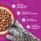 Grau getigerte Katze frisst Nassfutter aus einer Schale, lila Hintergrund mit deutschem Text über Haut, Immunsystem, Muskeln und Verdauung.