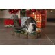 Tabby and white cat playing on a Christmas tree-shaped cardboard scratcher with wrapped gifts in the background.