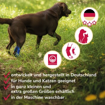 Brauner Hund trägt blaue Beinorthese im Gras, mit deutschem Text über Produktmerkmale und Symbolen für Hunde, Katzen und Waschen.