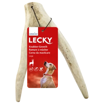 Ein großes, natürliches Hundekauhorn mit dem Etikett "LECKY" und einem roten Tag mit einem Hundebild, der "100% natürlich" und "Knabber-Geweih" angibt.