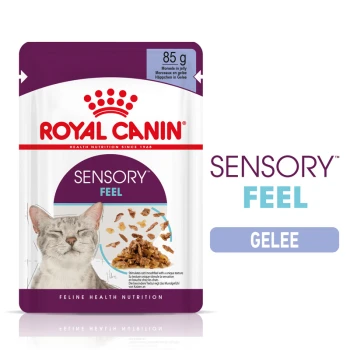 Royal Canin Sensory Feel Katzenfutterbeutel, 85g, mit dem Gesicht einer grauen Katze, mit Stückchen in Gelee und Text, der "Feline Health Nutrition" hervorhebt.