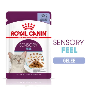 Royal Canin Sensory Feel Katzenfutterbeutel, 85g, mit dem Gesicht einer grauen Katze, mit Stückchen in Gelee und Text, der "Feline Health Nutrition" hervorhebt.