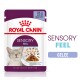 Royal Canin Sensory Feel Katzenfutterbeutel, 85g, mit dem Gesicht einer grauen Katze, mit Stückchen in Gelee und Text, der "Feline Health Nutrition" hervorhebt.