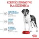 Duży pies stoi obok czerwonej miski z jedzeniem, z tekstem na temat korzyści zdrowotnych dla szczeniąt: odporność, wzrost mięśni i wsparcie mikrobiomu.