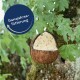 Ein Vogelfutterspender aus Kokosnussschale, gefüllt mit einer Saatgutmischung, hängt von einem Baum, mit dem Text "Ganzjahresfütterung" in einem blauen Kreis.