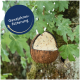 Ein Vogelfutterspender aus Kokosnussschale, gefüllt mit einer Saatgutmischung, hängt von einem Baum, mit dem Text "Ganzjahresfütterung" in einem blauen Kreis.