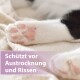 Nahaufnahme einer weißen Katzenpfote mit rosa Ballen auf einer Decke; überlagerter Text 'Schützt vor Austrocknung und Rissen'.