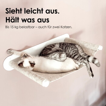 Zwei Katzen dösen in einer an der Wand montierten Katzenhängematte; sichtbarer deutscher Text: "Sieht leicht aus. Hält was aus."