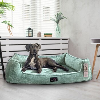 Ein schwarzer Hund liegt auf einem weichen, mintgrünen Haustierbett mit einem Etikett, das 'tierlando' beschriftet ist, in einem hellen Raum mit Pflanzen und einem Fenster.