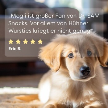 Ein goldener Welpe sitzt auf einem weichen Teppich, mit einem Zitat, das Dr. SAM Snacks lobt, das seine Liebe zu Hühnersnacks und eine Bewertung von fünf Sternen hervorhebt.