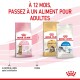 Image de sacs de nourriture pour chats Royal Canin : Kitten Stérilisé, Maine Coon Adulte et Adulte Intérieur, avec un texte conseillant une transition alimentaire à 12 mois.