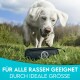 Ein verspielter weißer Hund steht auf Gras neben einer schwarzen Haustierzubehörtasche, mit dem Text darunter, der besagt "FÜR ALLE RASSEN GEEIGNET DURCH IDEALE GRÖSSE."