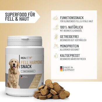 REAVET Fell Harmonie Snack: ein 100% natürlicher, getreidefreier Leckerbissen für glänzendes Fell und gesunde Haut, hergestellt in Deutschland.