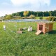 Ein geräumiger Außengehege für Kaninchen mit einem Holzhaus, in dem drei Kaninchen und eine Wasserflasche unter grünem Gras und blauem Himmel zu sehen sind.
