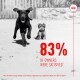 A black Labrador puppy runs with a Yorkshire Terrier, featuring text: "83% OF OWNERS WERE SATISFIED*" and info on Royal Canin puppy supplements.