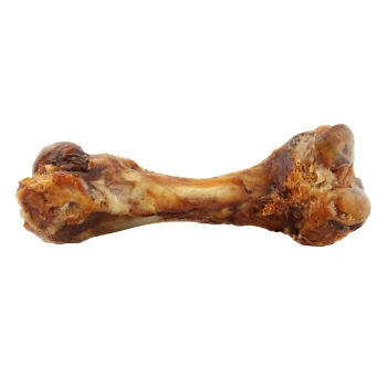 Ein großes, fleischiges Hundeknochen mit einer braunen, strukturierten Oberfläche, das eine natürliche Form und reiche Farbe zeigt, isoliert auf einem weißen Hintergrund.