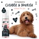 Ein glücklicher, flauschiger brauner Hund sitzt neben einer Flasche Bugalugs No Rinse Papaya & Coconut Shampoo + Conditioner, gekennzeichnet als vegan und pH-ausgeglichen.