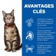 Un chat tigré avec des yeux verts et un collier rouge est assis à côté d'un panneau bleu énumérant les avantages : Vitamine E, oméga-3, taurine et protéines.