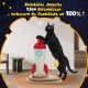 Schwarze Katze spielt mit einem raketenförmigen Kratzbaum auf Holzsockel; deutscher Text über 1,5 cm dicke Holzplatten, die die Stabilität um 100 % verbessern.