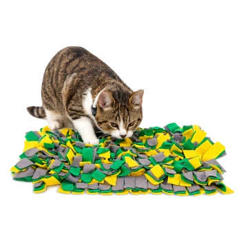Braun-getigerte Katze mit weißer Brust und Halsband schnuppert an einer grün-gelb-grauen Fleece-Schnüffelmatte auf weißem Hintergrund.