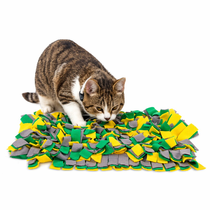 Lionto Schnüffelteppich für Katzen, 50x34 cm, gelb/grün