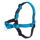 Blaues Hundegeschirr mit verstellbaren Riemen und einem Metall-D-Ring zur Leinenbefestigung, beschriftet 'EASY WALK.'