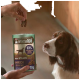 Une personne tient une friandise pour chien au-dessus d'un sac de Purina Adventuros Mini Steaks alors qu'un chien marron et blanc regarde avec impatience.