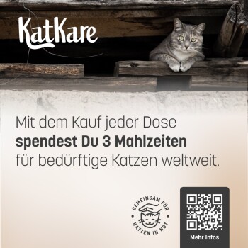 Grau getigerte Katze lugt aus einem Holzloft; ‚KatKare‘-Logo; deutscher Text: „Mit dem Kauf jeder Dose spendest Du 3 Mahlzeiten...“ und QR‑Code mit ‚Mehr Infos‘.