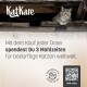 Grau getigerte Katze lugt aus einem Holzloft; ‚KatKare‘-Logo; deutscher Text: „Mit dem Kauf jeder Dose spendest Du 3 Mahlzeiten...“ und QR‑Code mit ‚Mehr Infos‘.