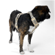 Ein großer, gestromter Hund trägt ein stilvolles beiges Geschirr mit bunten geometrischen Mustern, vor einem weißen Hintergrund stehend.