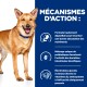 Chien tan heureux avec collier bleu à côté d'un texte en français décrivant les bienfaits digestifs et nutritionnels pour les animaux.