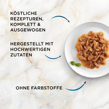 Nassfutter in Soße auf einem weißen Teller, Marmorhintergrund. Deutsche Beschriftungen: komplett & ausgewogen; keine künstlichen Farbstoffe.