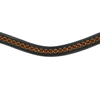 Ein stilvolles schwarzes Hundehalsband, das entlang seiner Länge mit funkelnden bernsteinfarbenen Strasssteinen verziert ist.