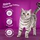 Srebrny tabby na drewnianej powierzchni z purpurowym tłem, z napisem "100% hochwertige Zutaten" i ikonami zdrowia.